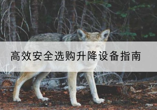 山南升降货梯厂家推荐-*安全选购升降设备指南