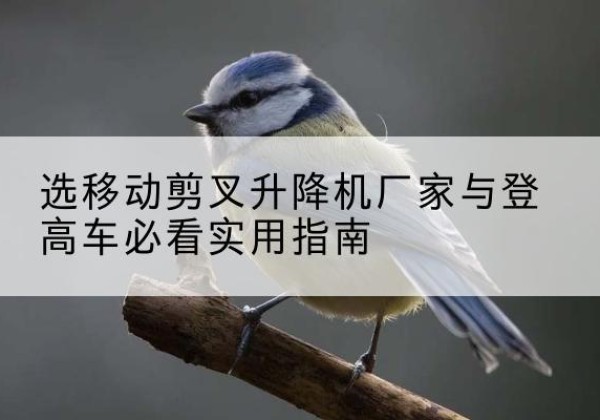 山南电动升降机厂家-选移动剪叉升降机厂家与登高车必看实用指南