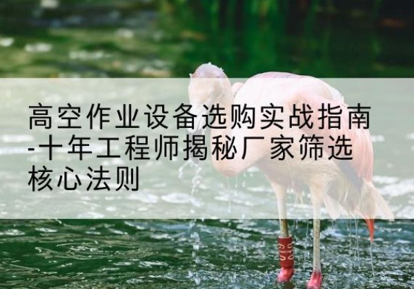 山南剪叉式升降机厂家-高空作业设备选购实战指南-十年工程师揭秘厂家筛选核心法则